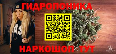 a pvp Гагарин