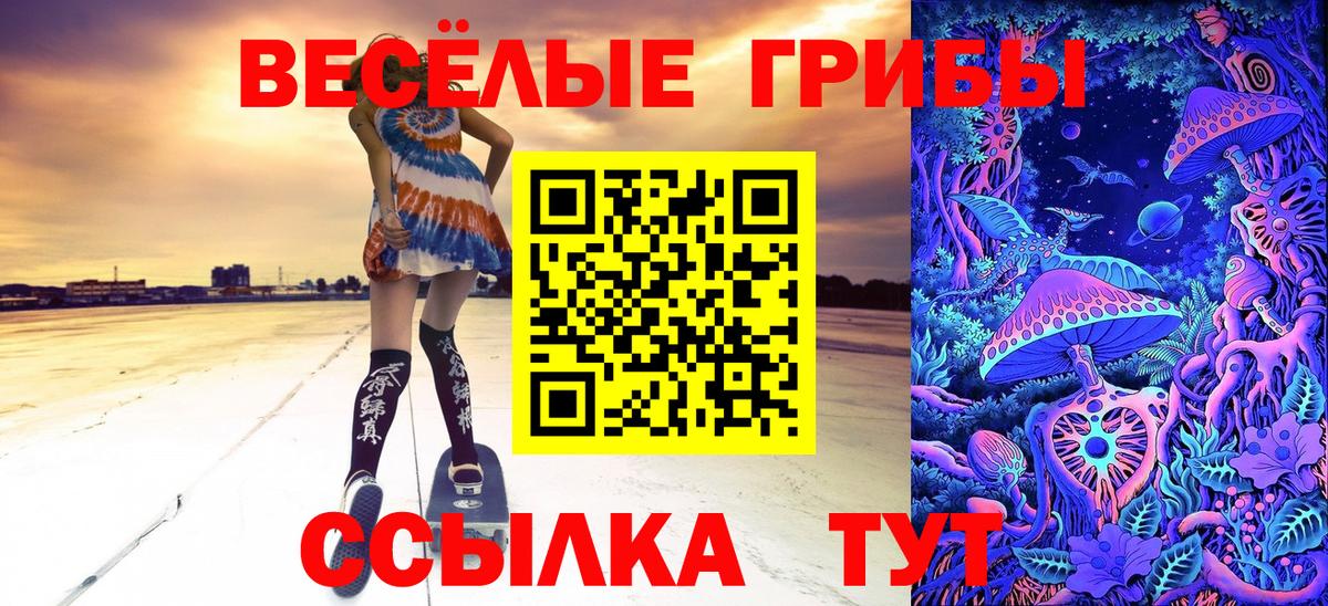 Псилоцибиновые грибы Cubensis  Вход с VPN  Заинск 
