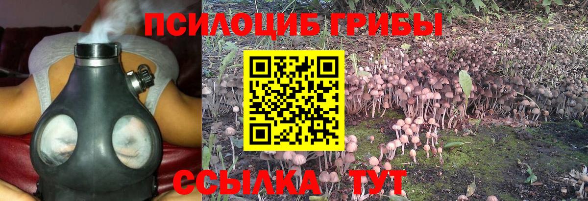 Псилоцибиновые грибы мухоморы Заинск